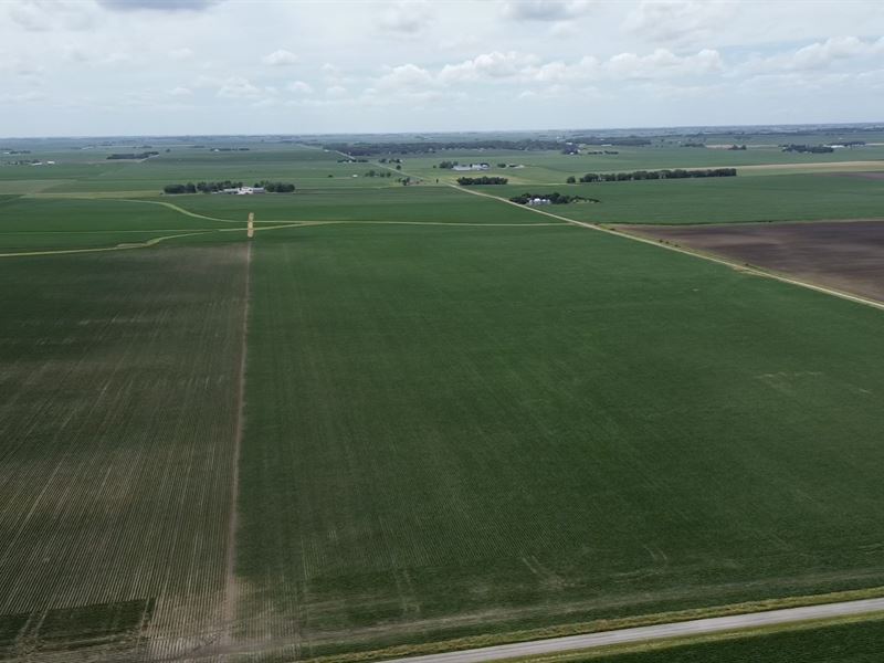 Champaign County Farmland Auction : Champaign : Champaign County : Illinois