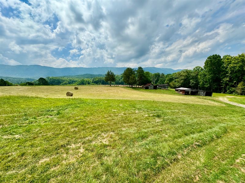 Gorgeous Land with Incredible Views : Maryville : Blount County : Tennessee