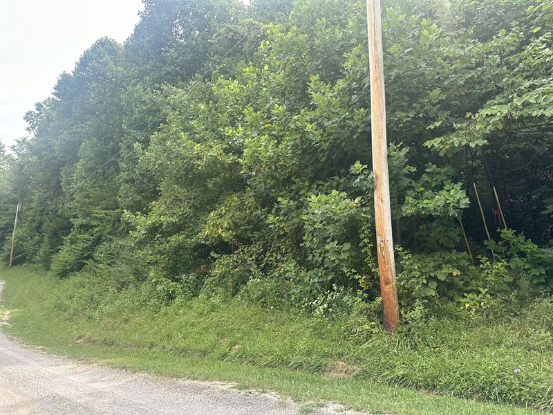 1.77+/- Acres, Residential Lot : Byrdstown : Pickett County : Tennessee