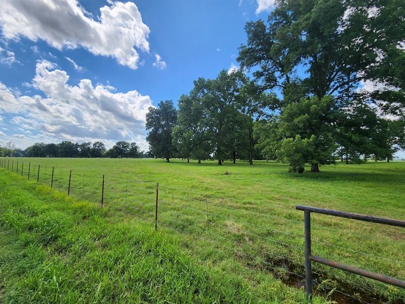 Red River Ranch Land Auction : Texarkana : Bowie County : Texas