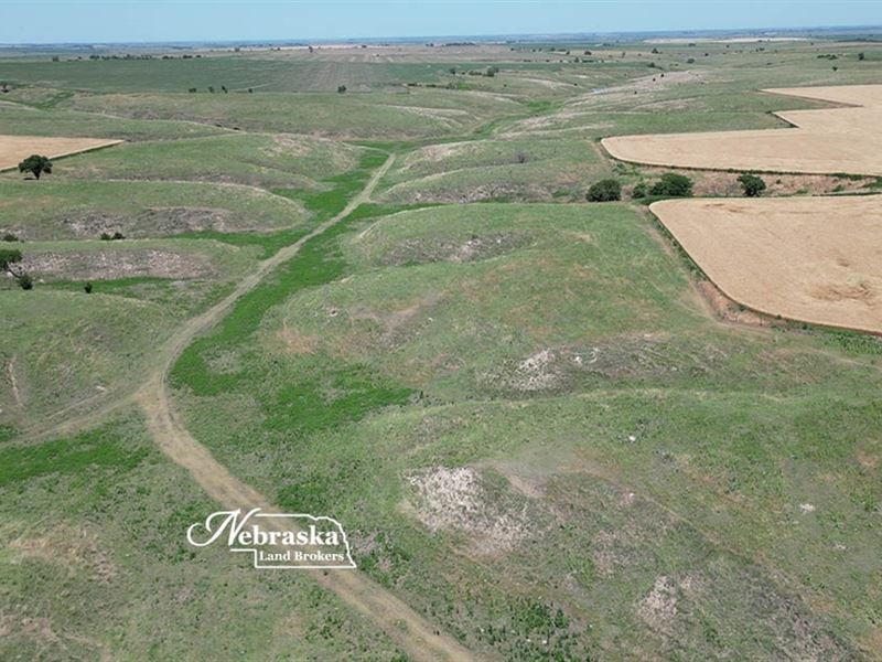 Frontier County Farm Auction, India : Indianola : Frontier County : Nebraska