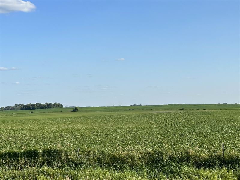 Large All Tillable Farm : Estherville : Emmet County : Iowa