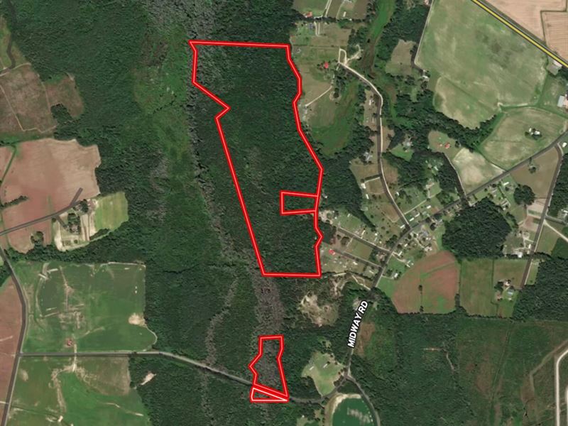 115.32 Acres : Maxton : Robeson County : North Carolina