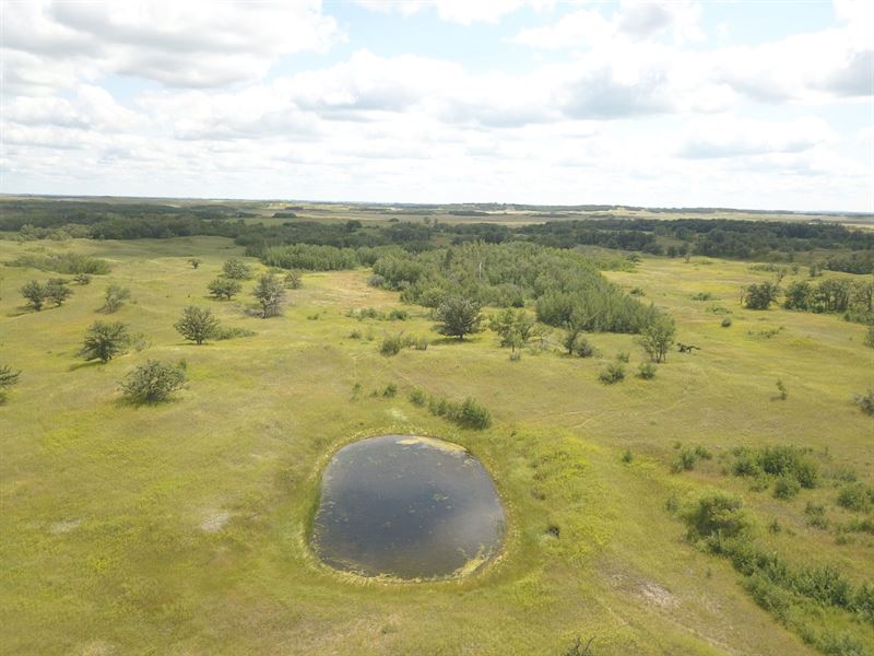 Central McHenry County Pastureland : Granville : McHenry County : North Dakota