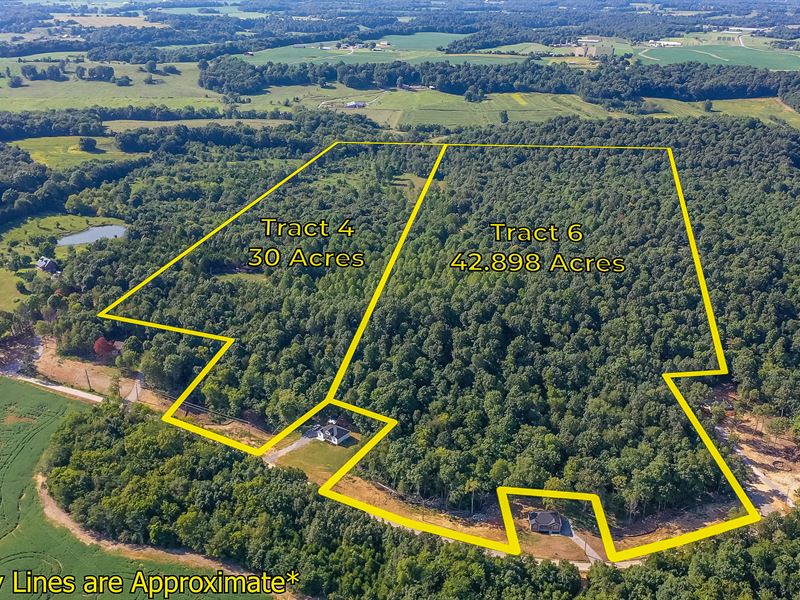 Land Auction, 73+/- Ac in Elkton : Elkton : Todd County : Kentucky