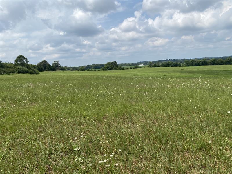 31 Acres of Versatile Land for Sale : Franklin : Simpson County : Kentucky