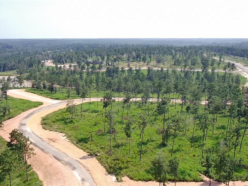 35 Premier Homesites in Texas : Livingston : Polk County : Texas