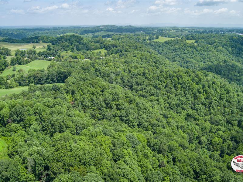 66+/- Acres : Byrdstown : Pickett County : Tennessee