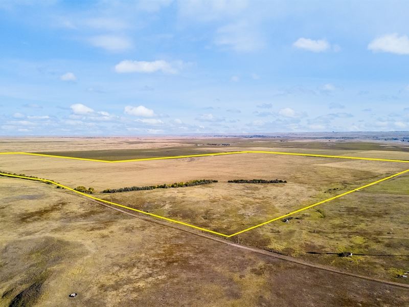 Cambria Farm Absolute Auction : Box Elder : Pennington County : South Dakota