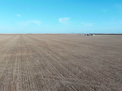 Otto Lueking Jr Estate Land Auction : Yuma : Colorado