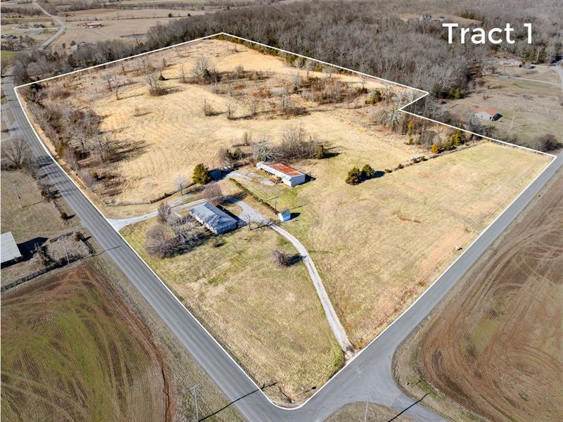 Absolute Land Auction, 284+/- Acre : Cerulean : Christian County : Kentucky
