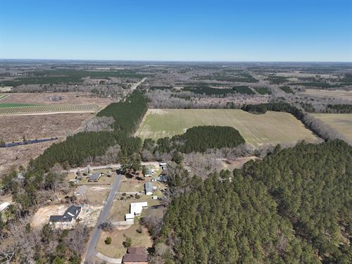 Offered Divided or as Whole : Barnwell : South Carolina