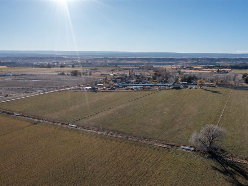 Montrose Colorado Land for Auction : Montrose : Montrose County : Colorado