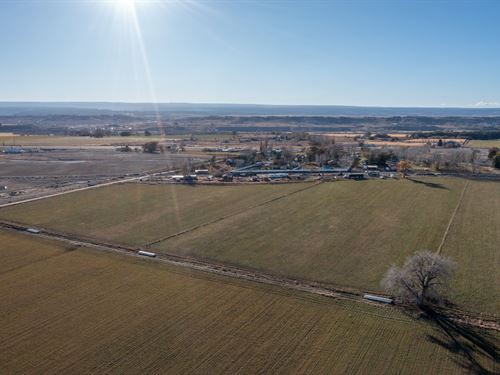Montrose Colorado Land for Auction : Montrose : Colorado
