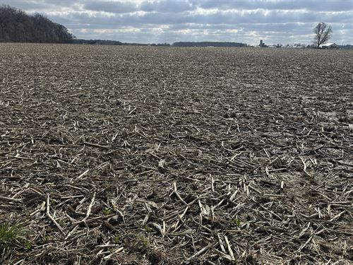 57+/- Ac Auction, Allen County IN : Fort Wayne : Allen County : Indiana