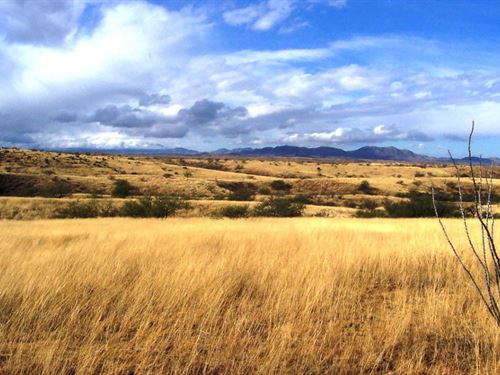 Arizona Lots for Sale Auction : Benson : Cochise County : Arizona