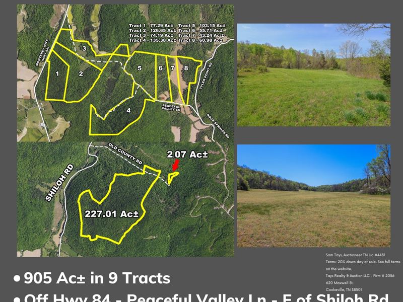 905 Ac in 9 Tracts in Overton Co : Monterey : Overton County : Tennessee