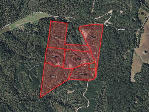 Hunting, Recreational, Development : Dover : Stewart County : Tennessee