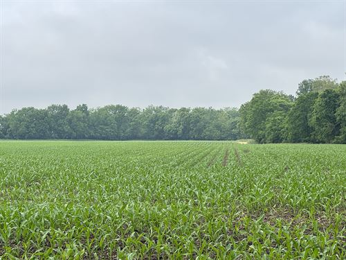 Land Auction, Pickaway County OH : Circleville : Pickaway County : Ohio