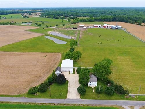 57.6+/- Acre Non-Preserved Farm : Woodstown : Salem County : New Jersey