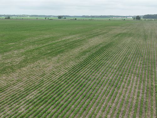 Auction 70+/- Ac, Tippecanoe County : Lafayette : Tippecanoe County : Indiana