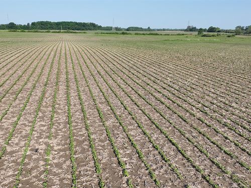 Land Auction, Allen County, In : Roanoke : Allen County : Indiana