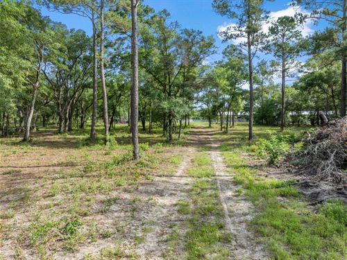 A Development Dream Tract : Crawfordville : Wakulla County : Florida