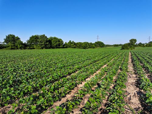 Land Auction, Noble County In : Kendallville : Noble County : Indiana