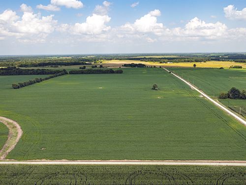 Land Auction, Audrian-Monroe Co. MO : Madison : Audrain County : Missouri
