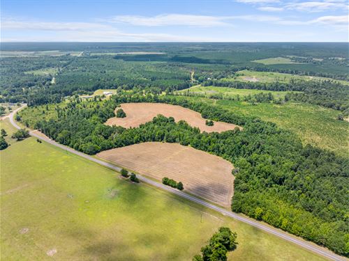 34 Acres Outstanding Land Tract : Wrightsville : Washington County : Georgia