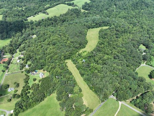 Develop It Your Way : Amherst : Virginia