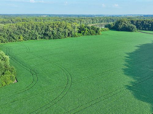 Land Auction, Knox Co. Indiana : Oaktown : Knox County : Indiana