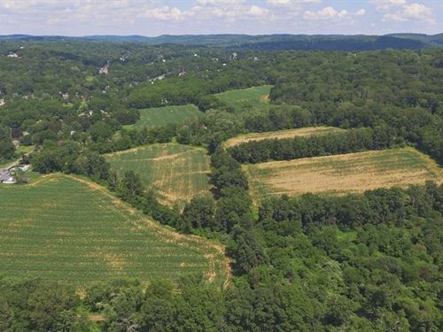 58.95+/- Acres Farmland : Hampton : Hunterdon County : New Jersey