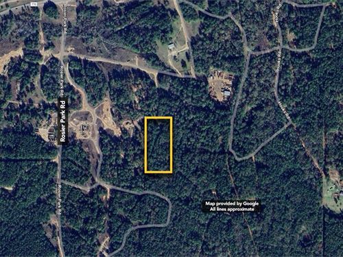 4 Ac in Saratoga, TX : Saratoga : Hardin County : Texas