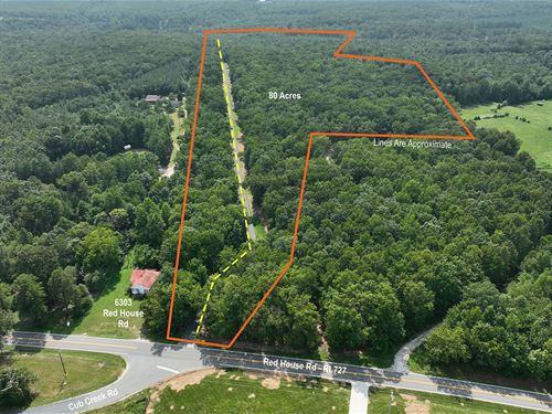 Beautiful 80 Acres in Appomattox VA : Appomattox : Virginia