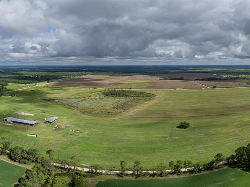 Cropland with Development Potential : Lakeland : Lanier County : Georgia