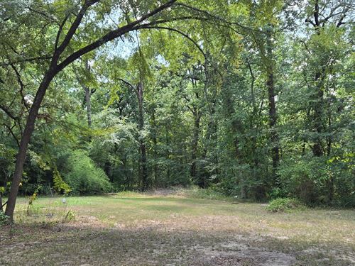 2-Story Retreat, 4.13 Wooded Acres : Paris : Lamar County : Texas