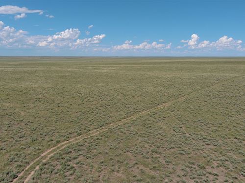 Jr & Laverle Kelley Land Auction : Eads : Kiowa County : Colorado