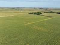 Land Auction, Livingston Co. IL : Dwight : Livingston County : Illinois