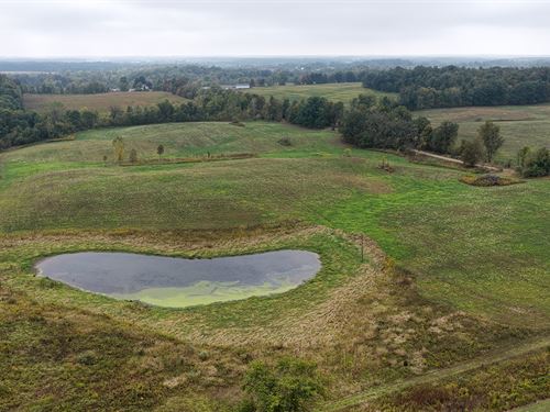 Land Auction, Hillsdale Co MI : Camden : Hillsdale County : Michigan