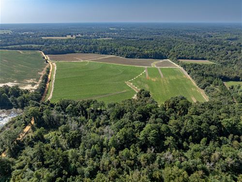 Excellent Productive Farmland : Hartsfield : Colquitt County : Georgia