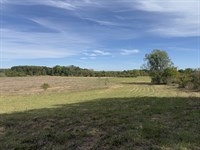 Land Auction, Hillsdale Co MI : Camden : Hillsdale County : Michigan