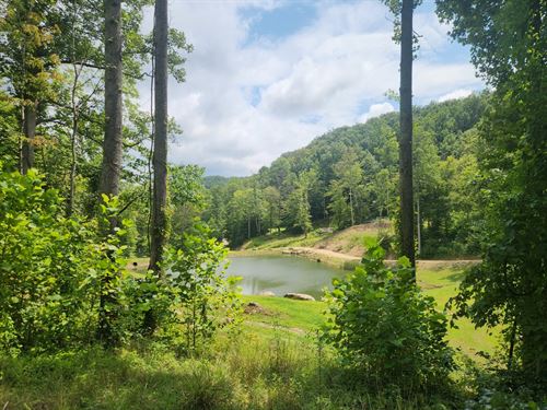 Prime Buildable Lots, Birch Hollow : Stanton : Powell County : Kentucky