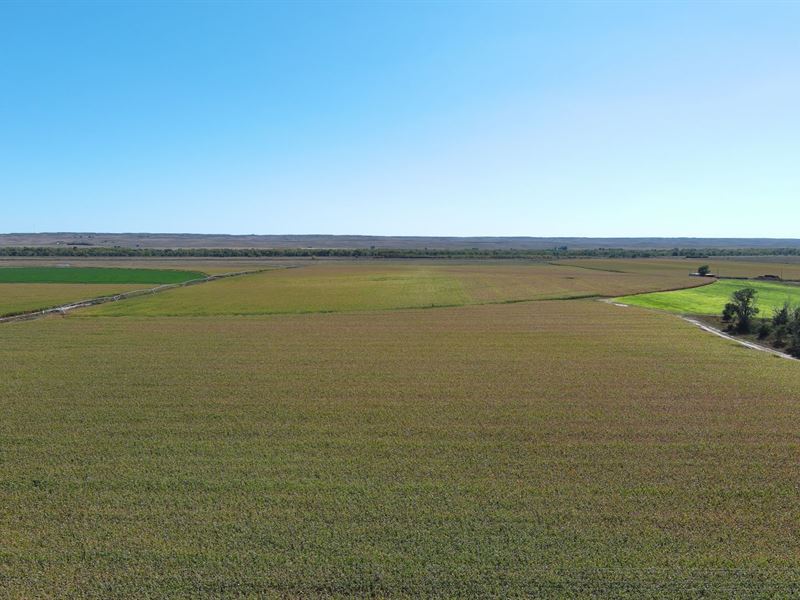 Helmsing Estate Pivot Irrigated : Crook : Logan County : Colorado