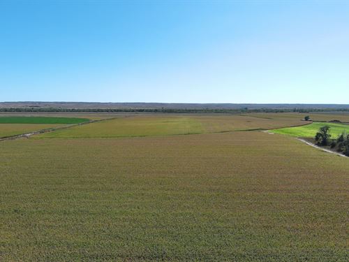 Helmsing Estate Pivot Irrigated : Crook : Logan County : Colorado