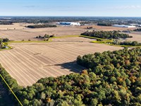 Land Auction, Allen County, In : Fort Wayne : Allen County : Indiana