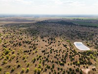 Miltonvale Pasture Auction : Miltonvale : Cloud County : Kansas