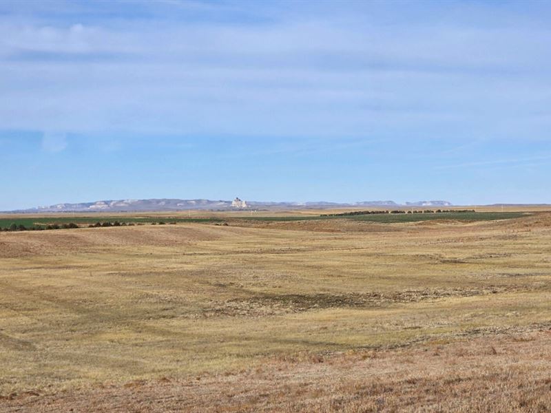 Keim Crp Auction : Bridgeport : Morrill County : Nebraska