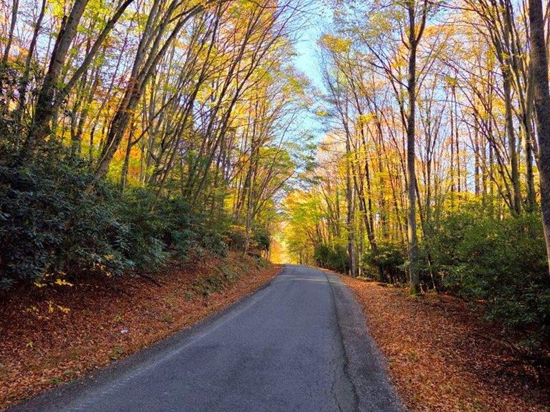 Shady Spring Mountainland : Shady Spring : Raleigh County : West Virginia