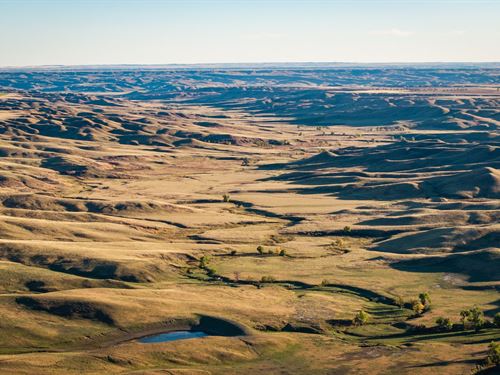 Bonita Springs Ranch Absolute : Enning : Meade County : South Dakota